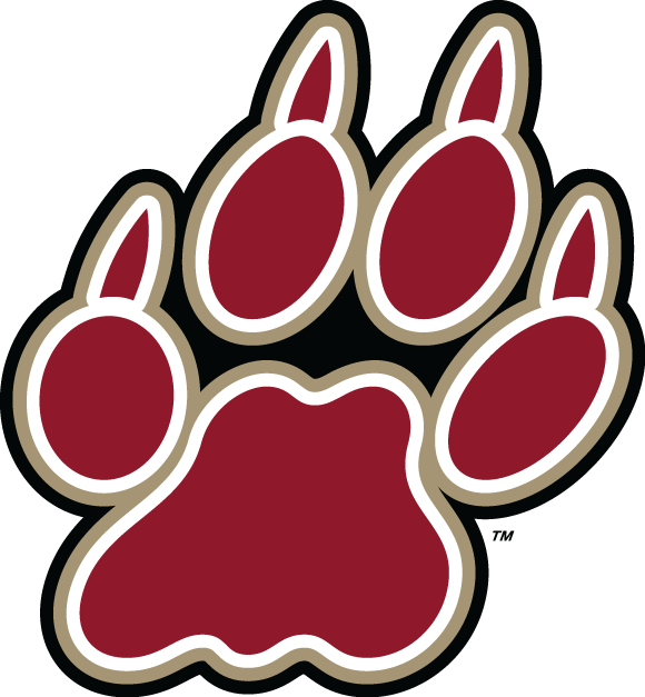 Lafayette Leopards 2000-Pres Alternate Logo v4 iron on transfers for T-shirts